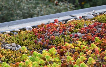 the cost of Stoke By Nayland green roof installation