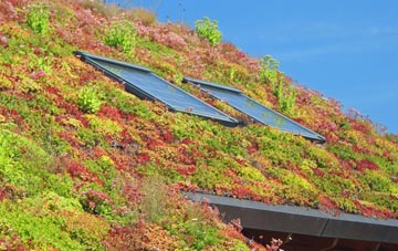 Stoke By Nayland living roof systems